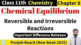 Difference Between Reversible and Irreversible Reaction | Chemical Equilibrium | 1st Year Chemistry