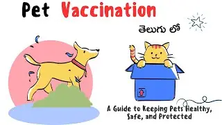 &ldquo;Dog Vacation Boarding Schedule 🐶 | Safe & Happy Stay for Pets&rdquo;dog vacationdog 
