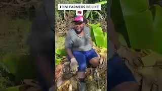 TRINI FARMERS BE LIKE 🇹🇹🚜👨&zwj;🌾🤣 #trinidad #trinitiktoker #boredteacher #stephon23 #farmers #planting