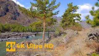 Spring Walking in the Mountains