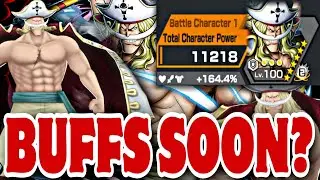 IS WHITEBEARD GETTING BUFFED SOON? 🤔