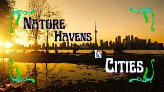How Cities Can Be Sanctuaries for Nature and Biodiversity