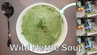 Nettle Soup | Vegan Recipe | The Forgotten Superfood - Nutrition & Health Properties of Nettles