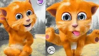 Top 3 FUNNY Moments 🤣 of Talking Ginger 2
