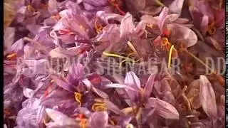Ground Report on successful implementation of National Saffron Mission in J&K 27 Aug 2018 U