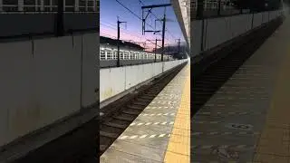 かがやき　輝　kagayaki #train #鉄道 #shinkansen #電車 #shortvideo #新幹線 #kagayaki
