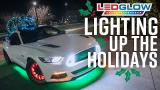LEDGlow | Lighting Up The Holidays - 2017 Mustang GT s550 With LED Underbody Lights