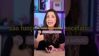 MESENC&Eacute;FALO | Sistema Nervoso: Tronco encef&aacute;lico 🧠🎯