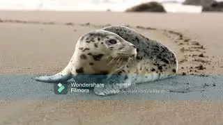 RELAXABLE MUSIC