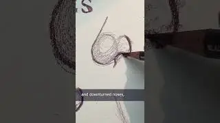 Everything You Wanted To Know About Drawing Noses (In Under a Minute)