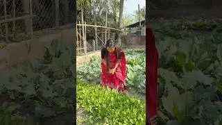 Я сходила к маме домой😌 #ассамский #мини-блог #шорты