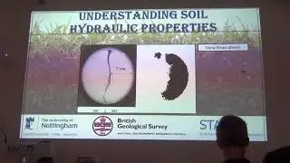 Joint assessment of soil hydraulic properties by constraining geoelectrical tomography