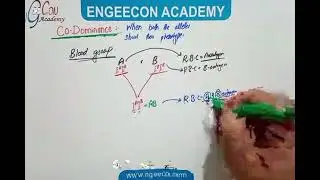Lecture #10|| Co Dominace and Over Dominance|| Inheritance Chapter||Engeecon Academy Biology Lecture