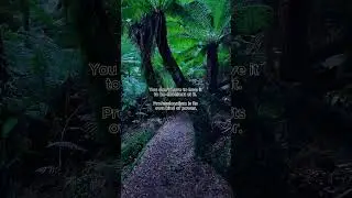 Tarra-Bulga National Park #Australia #Quotes #heal #life #relax #peace #love #travel #motivation