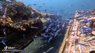 Veronica L Wreck in Grenada, 2025
