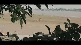 River & Riverside Construction | Bangladesh 