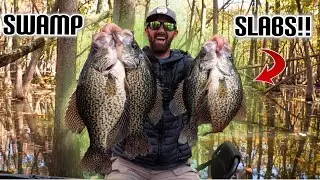 CATCHING SLAB CRAPPIE DEEP IN THE SWAMP!!! &mdash; Amazing Secret Location Produces Big Fish!