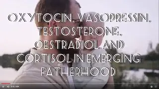 How do hormone levels change in new fathers, and what is their role in in parenting quality