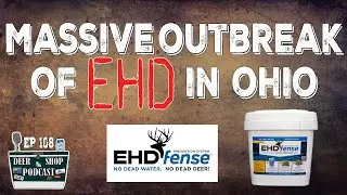 Massive Outbreak Of EHD In Ohio | What You Can Do About It | The Deer Shop Podcast | Episode 108