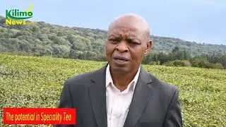 Women and Youth Groups Registered under the Tea Sector in Kenya