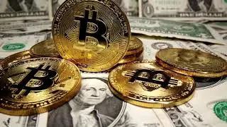 Bitcoin bonanza for remote Siberian data center