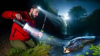 We Found a Canal Monster Lurking in the Dark