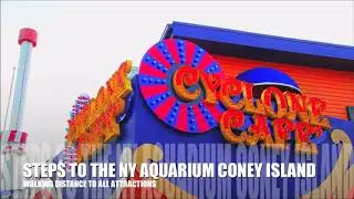 Coney Island Steven Calapai