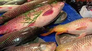 দাসের বাজার সাপ্তাহিক বৃহস্পতিবার।।
