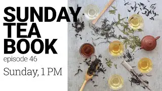 Sunday Tea Book ep.46 | The Origin of 6 Tea Types | Sip-a-long - Aged Tian Jian
