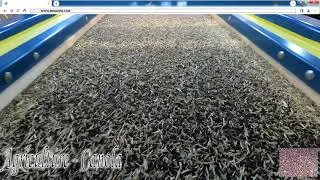 Agriculture Products Screening