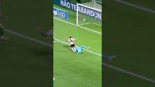 WEVERTON SAI PELA PORTA DA FRENTE DO VERD&Atilde;O !!!