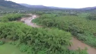 Beautiful, Peaceful Drone Footage of Ecuador's Bamboo Forests