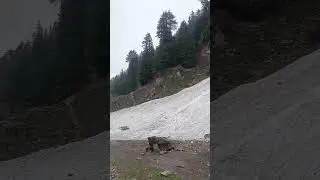 #travel #pakistan #nature #mountains #snow #river #fypシ #viral #naran #rain #weather ##life #media