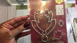 ScanNCut2 & Akron Craft Haul