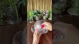 throw away the mineral water bottle after drinking it, make it a wine glass and flower