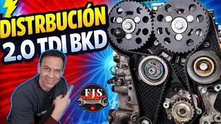 Si tienes un 2.0 TDI BKD, MIRA esto antes de tocar la distribuci&oacute;n
