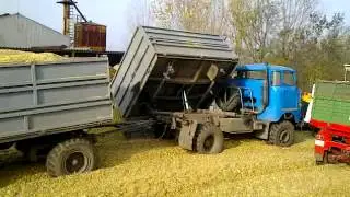 Silozás 2014 Eperjes   2X Rába Streiger 250,Claas Arion 420 és IFA W50LA