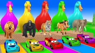 Long Slide Game With Elephant Warthog Tiger Gorilla Lion - 3d Animal Game - Funny&nbsp;3d&nbsp;Animals