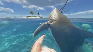 Stranded Deep 2025 Junio 3 Arcilla, subir nivel haciendo tablas y portaviones