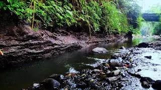 Relaxing 3D Soundscapes To Help You Fall Asleep, Nature River Sounds Relaxing Music