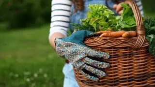Verduras y hortalizas que puedes cosechar en invierno - Decogarden - @Jardinatis