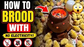 How to Use Charcoal Stove Safely in Brooding
