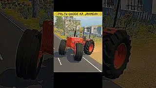 Tractor birthday viral video