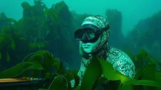 Spearfishing my FIRST FISH of the Season (Fish and Chips CATCH AND COOK)