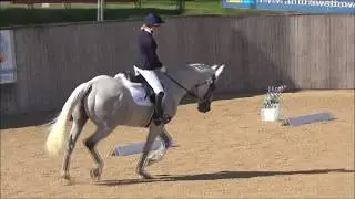 Hickstead Championships with Fontano 2017