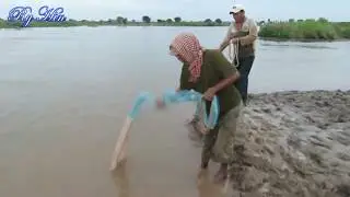 they catch a lot of fish EP 93 #Ry Hin