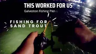 How We Caught Sand Trout at Galveston Fishing Pier