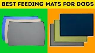 5 Best Feeding Mats For Dogs in 2020