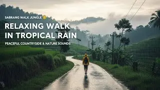 Deep Sleep ASMR &ndash; Heavy Jungle Rain & Forest Ambience #ASMRRain #SleepSounds #NatureASMR