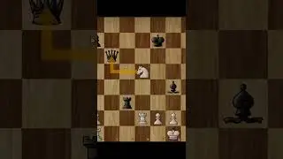 Royal fork PTSD #chess #chessplayer #shortvideo #shorts